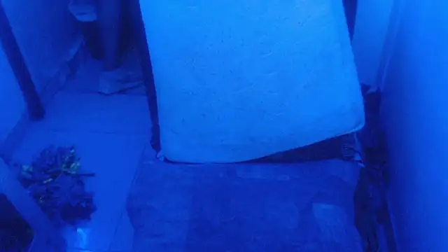 selenax2023 online show from 2, 2, 2026