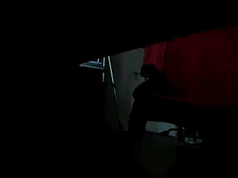 leccaleccafiga online show from 10, 2, 2025