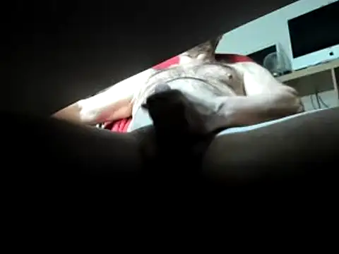 leccaleccafiga online show from 1, 3, 2025