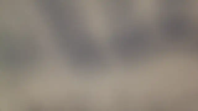 leccaleccafiga online show from 25, 4, 2026