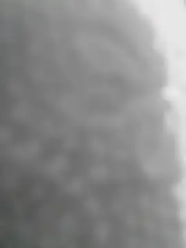 Sexilvenia online show from 15, 5, 2026
