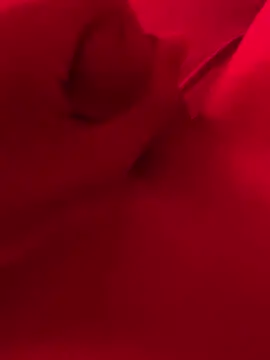 xsanchx online show from 21, 3, 2025