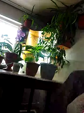 Snapshot of IrmaRose chatting on 9, 11, 2025 IrmaRose online show from 9, 11, 2025