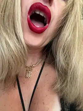 Kittenforyou online show from 28, 7, 2026