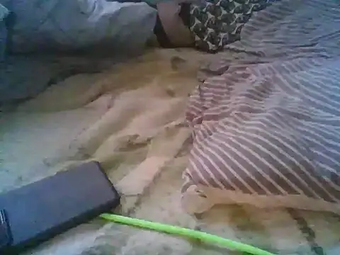 Snapshot of xsexy_on91 chatting on 5, 12, 2025 xsexy on91 online show from 5, 12, 2025