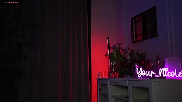 Snapshot of Your_Nicolett chatting on 18, 1, 2025 Your Nicolett online show from 18, 1, 2025