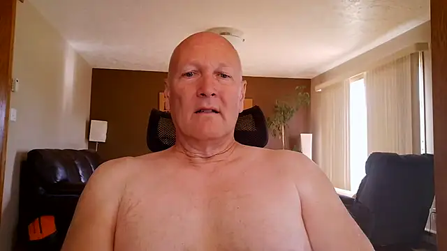 BasicAnt online show from 22, 6, 2026