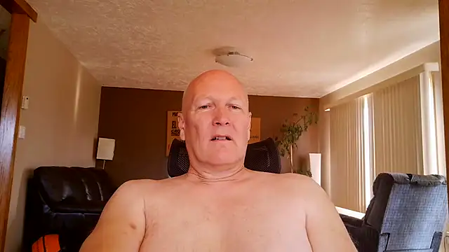 BasicAnt online show from 27, 6, 2026