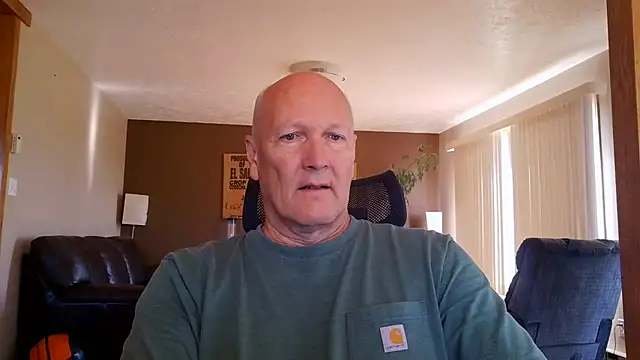 BasicAnt online show from 28, 6, 2026