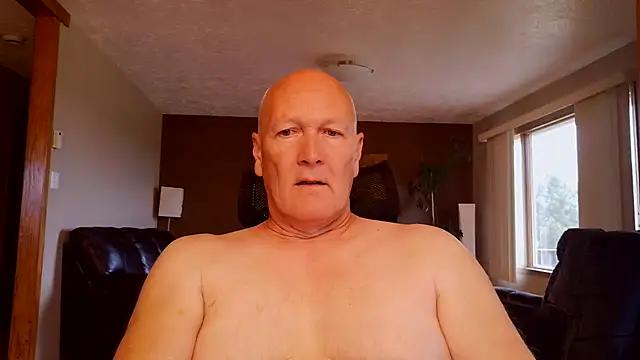 BasicAnt online show from 7, 7, 2026