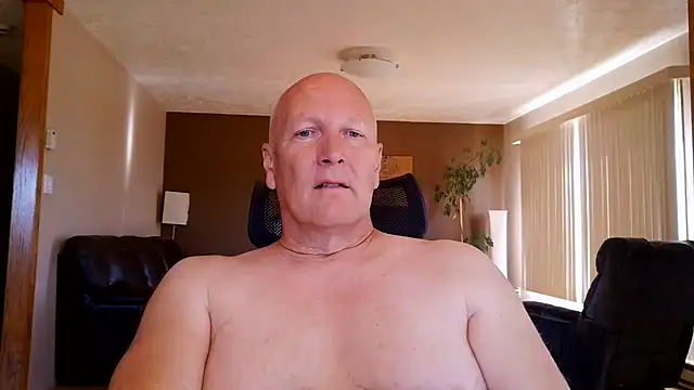 BasicAnt online show from 12, 7, 2026