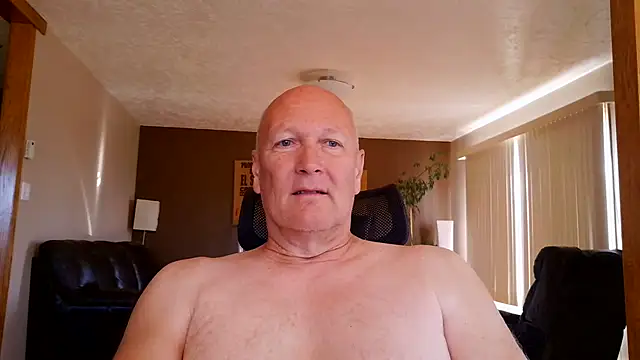 BasicAnt online show from 14, 7, 2026