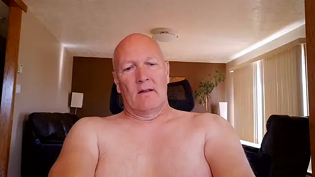 BasicAnt online show from 15, 7, 2026