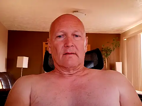 BasicAnt online show from 24, 7, 2026
