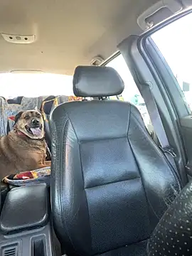 steph19x5 online show from 20, 4, 2026