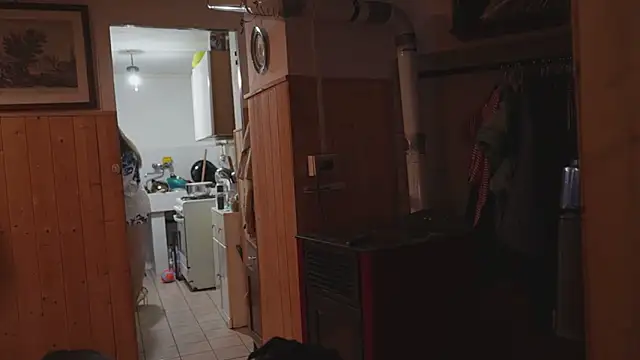 VanessaDoyle online show from 24, 4, 2026