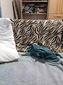 peti 19 online show from 22, 1, 2025