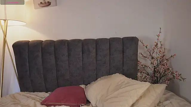 bunnycuteshy online show from 24, 7, 2026