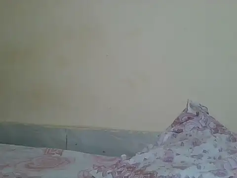 sexyjanett online show from 21, 4, 2026