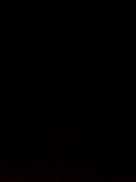 Like african online show from 9, 2, 2026