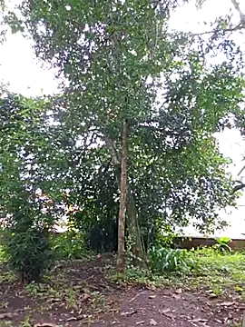 Yuky ta online show from 23, 2, 2025