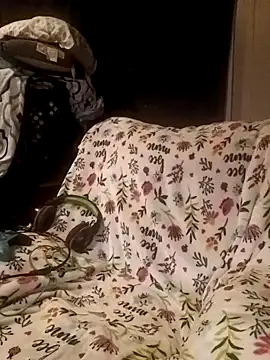 ShadowyTube online show from 19, 2, 2025