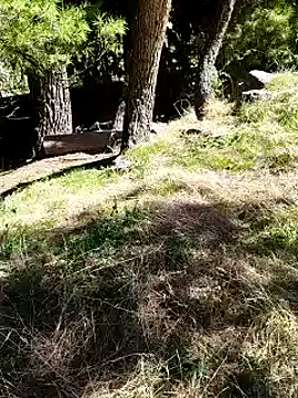 K-27 online show from 4, 10, 2025