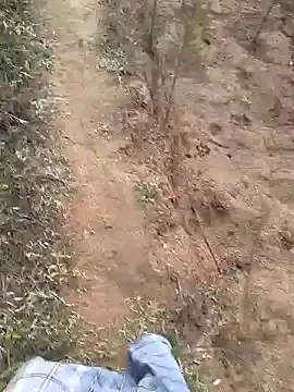 Gopal1243 online show from 19, 1, 2025