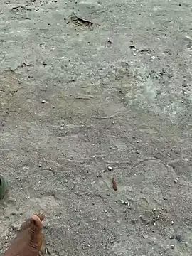 Gopal1243 online show from 20, 4, 2026