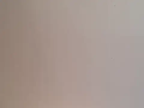 highstepper500 online show from 25, 12, 2024