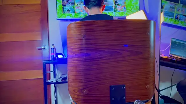 Snapshot of _DANTE_BIGASS chatting on 29, 11, 2025 DANTE BIGASS online show from 29, 11, 2025