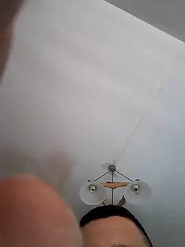 Pitbul889 online show from 1, 11, 2025