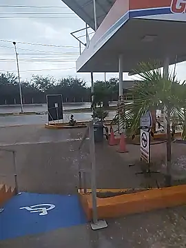 Snapshot of sagrado_1989 chatting on 12, 1, 2026 sagrado 1989 online show from 12, 1, 2026