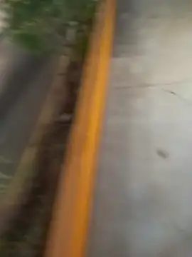 Snapshot of sagrado_1989 chatting on 8, 2, 2026 sagrado 1989 online show from 8, 2, 2026