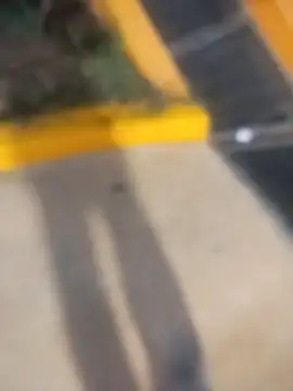 Snapshot of sagrado_1989 chatting on 23, 2, 2026 sagrado 1989 online show from 23, 2, 2026