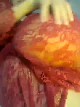 Sex Senfoura Arab online show from 18, 12, 2024