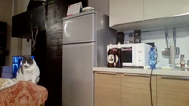 woww791 online show from 7, 10, 2025