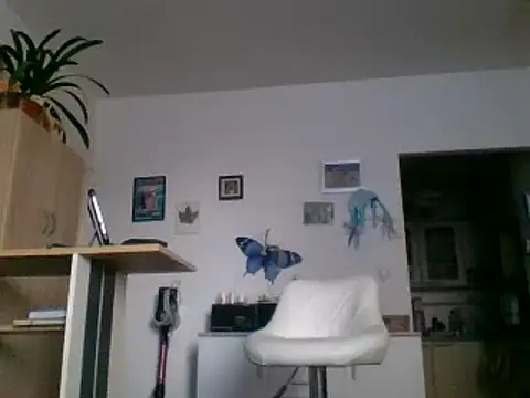 82liska online show from 28, 11, 2025