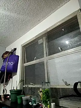 francesca baker1007 online show from 18, 3, 2025