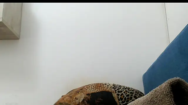 Snapshot of 0anal21 chatting on 25, 6, 2026 0anal21 online show from 25, 6, 2026