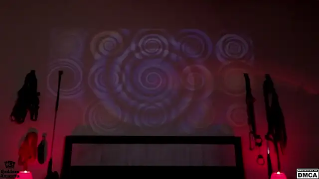 Amanita  Pantherina online show from 29, 1, 2025