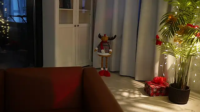 seeunexttime0 online show from 13, 1, 2025