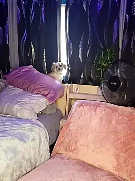 SexyNikki6969 online show from 31, 3, 2026