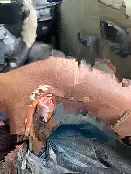 Dakku 69 online show from 4, 3, 2026