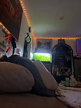 Toyjungee online show from 3, 2, 2026