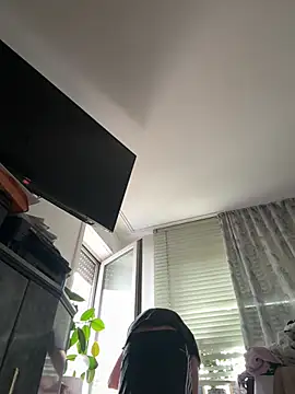 Toyjungee online show from 27, 7, 2026