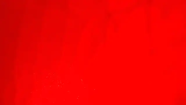 Snapshot of KarimaSarabe chatting on 28, 11, 2025 KarimaSarabe online show from 28, 11, 2025