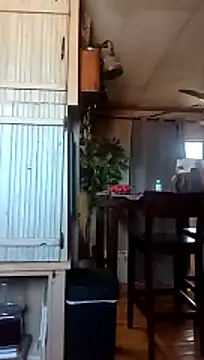 Snapshot of cammyquart chatting on 9, 5, 2026 cammyquart online show from 9, 5, 2026