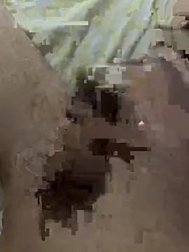 papi88 online show from 14, 3, 2026