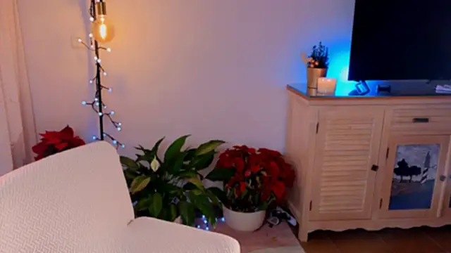 Snapshot of anabelcurvy chatting on 8, 12, 2024 anabelcurvy online show from 8, 12, 2024